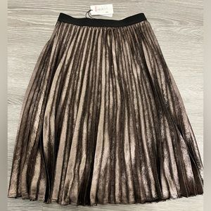 A Loves A Metallic Pleated Skirt